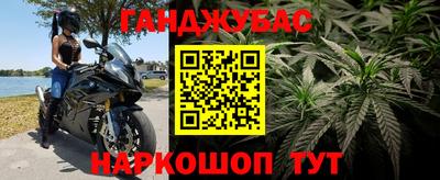 шишки Шелехов