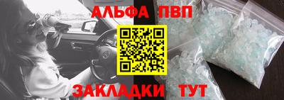 шишки Шелехов